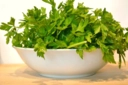 Maydanozun Zararları Nelerdir?