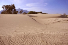 Erozyonun Zararları Nelerdir?