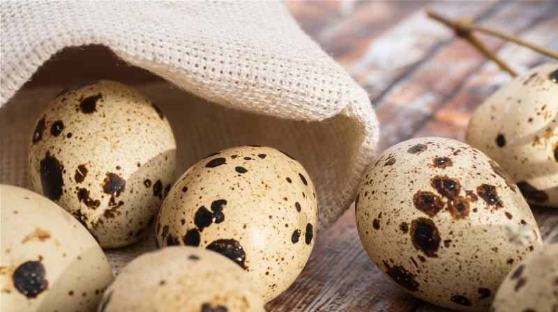 Bıldırcın yumurtası erken ergenliğe neden olur mu