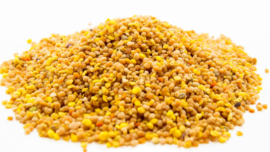 Polenin Zararları Nelerdir?