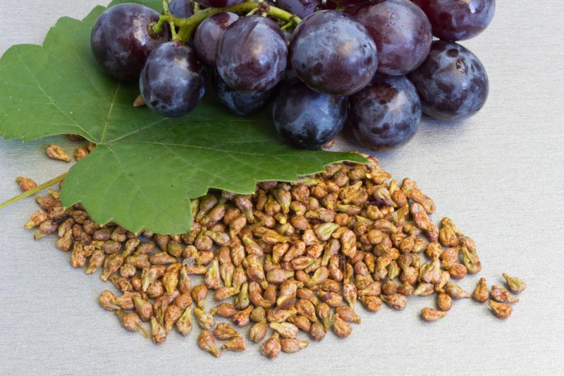 Üzüm Çekirdeğinin Zararları Nelerdir?